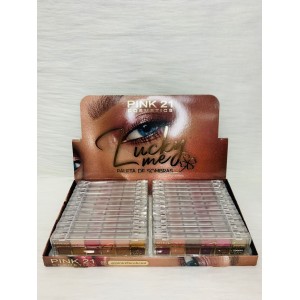 CS2306 PALETA DE SOMBRAS SUMMER NIGHT PINK 21 C/24